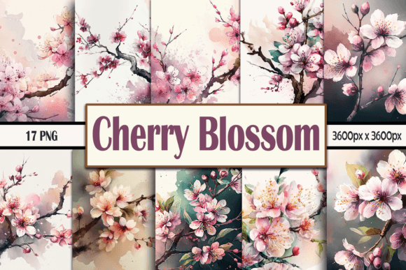 Download Watercolor Cherry Blossom Backgrounds - Background Collection